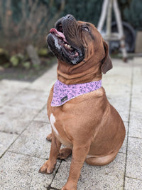 Hundehalstuch MINDY