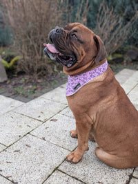 Hundehalstuch MINDY