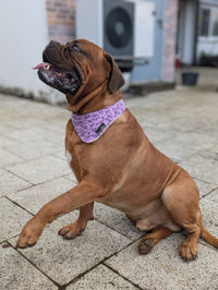 Hundehalstuch MINDY