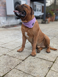 Hundehalstuch MINDY