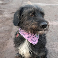 Hundehalstuch MINDY