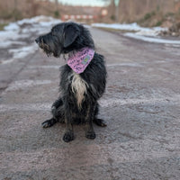 Hundehalstuch MINDY