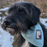 Hundehalstuch MINDY