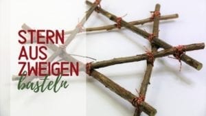 Stern aus Zweigen basteln: DIY Anleitung